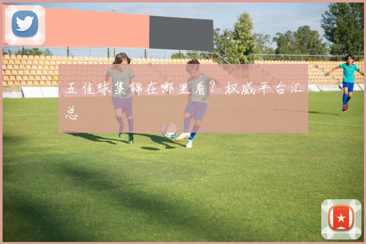 五佳球集锦在哪里看?权威平台汇总