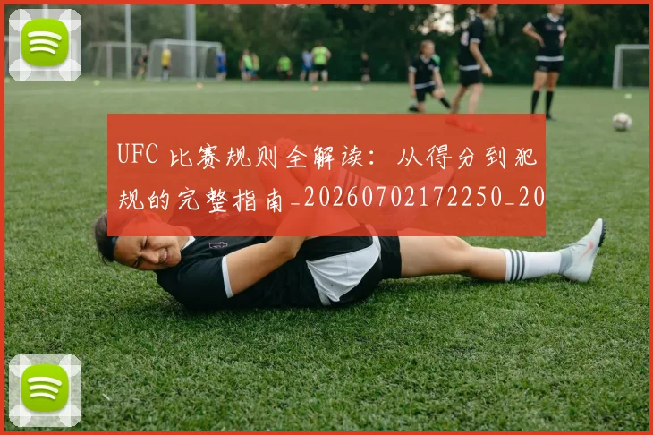 UFC 比赛规则全解读：从得分到犯规的完整指南_20260702172250_20260714215746