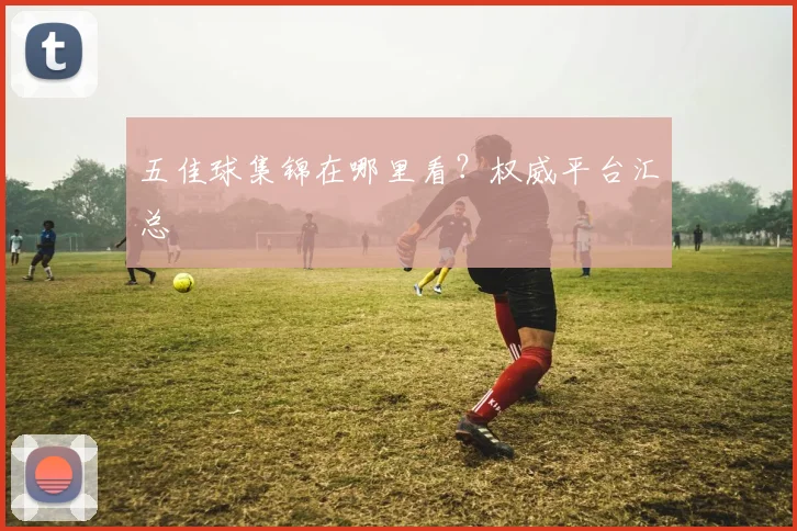 五佳球集锦在哪里看?权威平台汇总